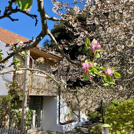 Westbury Cross House Bed & Breakfast מראה חיצוני תמונה