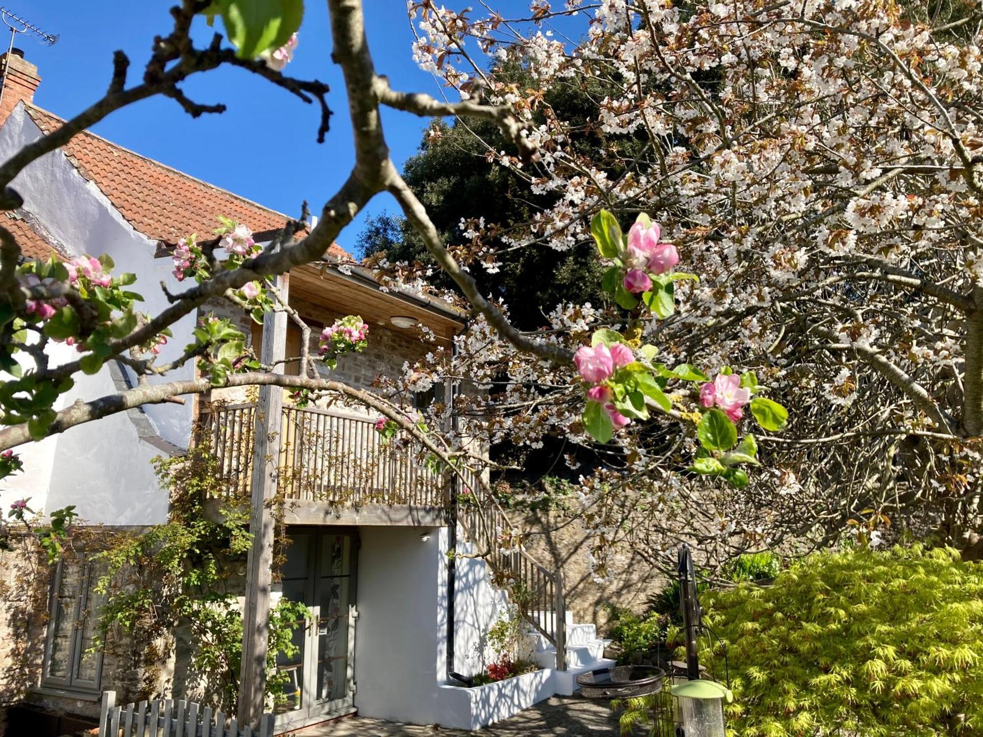 Westbury Cross House Bed & Breakfast מראה חיצוני תמונה